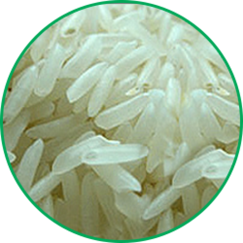 NON-BASMATI RICE