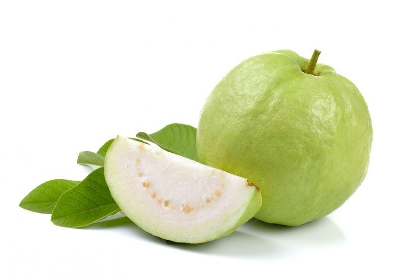 GUAVA PULP