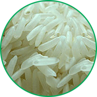 NON-BASMATI RICE